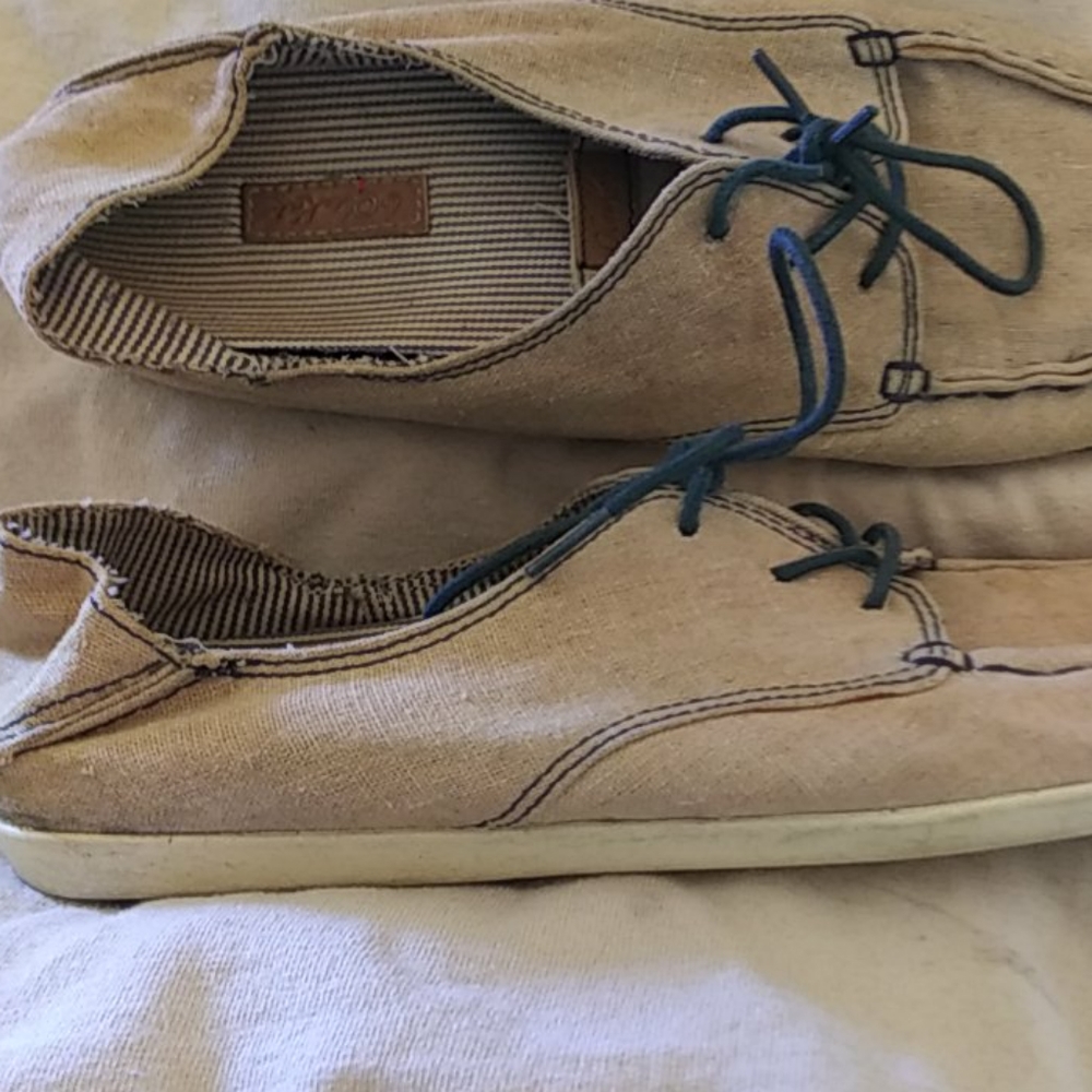 Shies - Picture 2 of 8